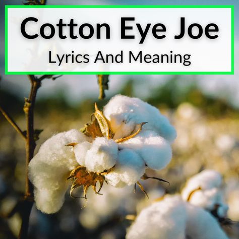 The Cotton Eye Joe lyrics meaning predates the Rednex version by well over 100 years. This old folk song of unknown origins talks about a tall, skinny... Lyric Meanings, Cotton Eye Joe, Famous Song Lyrics, Cotton Eyed Joe, Lyrics Meaning, Mountain Music, Celtic Music, Song Of The Year, Club Music