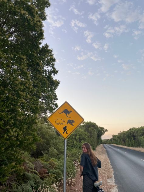 bike riding sign nature animals summer ocean noosa surf sunset poster hot dreamy bikini waves hot market hippie indie basic mermaid h20 troops travel queensland melbourne blue photo wall byronbay palm trees concert sunrise outfit vintage walk hike Travel Queensland, Sunrise Outfit, Blue Photo Wall, Hiking Summer, Australian Summer, Sunset Poster, Summer Book, Summer Ocean, Blue Photo