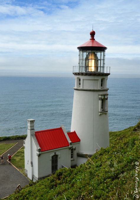 Heceta Head Lighthouse Oregon Oregon Lighthouses, Lighthouse Inspiration, Lighthouse Lighting, Lighthouses Photography, Lighthouse Photos, Lighthouse Pictures, Beautiful Lighthouse, Scenic Photography, Beacon Of Light