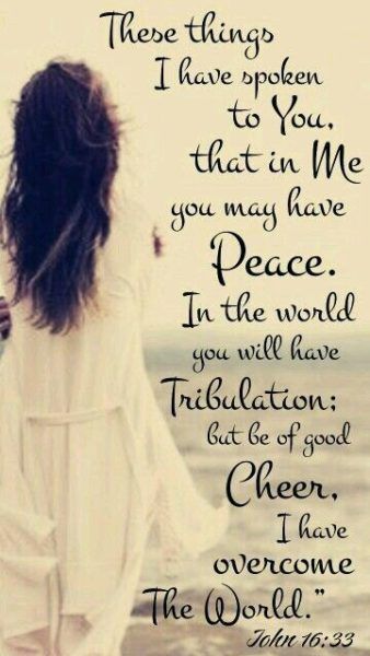 These things I have spoken to you, that in Me you may have peace. In the world you will[a] have tribulation; but be of good cheer, I have overcome the world.” Woord Van God, Motivation Positive, Overcome The World, Ayat Alkitab, Prayer Scriptures, Favorite Bible Verses, Faith Inspiration, Gods Promises, Amazing Grace