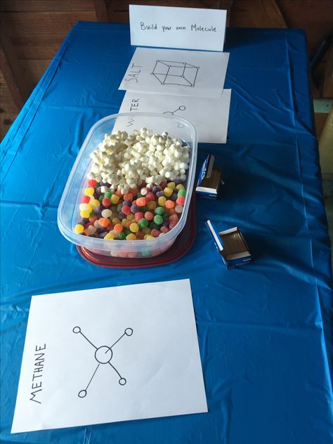 Build a molecule station for science birthday Science Birthday Party Ideas Cake, Science Birthday Cake, Science Snack, Science Themed Party, Science Birthday Party Ideas, Costco Cake, Mad Science Party, Scientist Party, Science Birthday