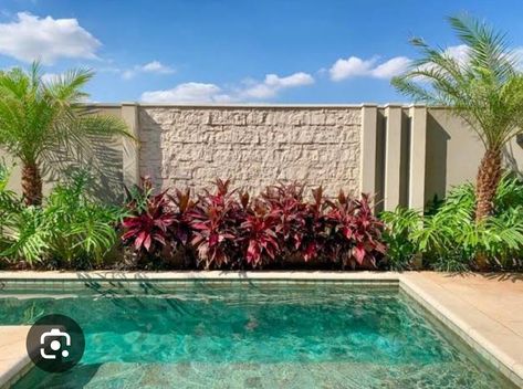 Modern Tropical Pool Landscaping, Tropical Pool Landscaping, Pool Plants, Landscaping Pool, Garden Landscaping Ideas, Indoor Oasis, Enchanting Garden, Tropical Garden Design, Pool House Plans