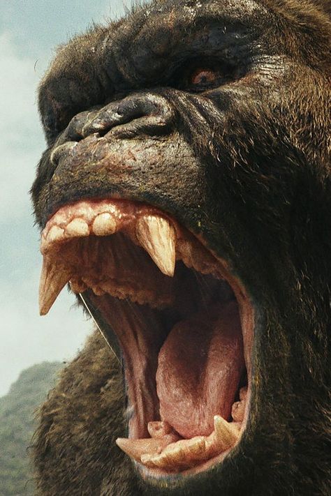 King Kong Skull Island, Kong Skull Island, King Kong Art, Before The New Year, King Kong Vs Godzilla, Kong Godzilla, Gorillas Art, Gorilla Tattoo, Godzilla Vs Kong