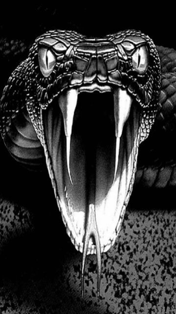 snake_EZfESHpK.gif (360×640) King Cobra Snake, Snake Images, Cobra Tattoo, Viper Snake, Snake Drawing, Snake Wallpaper, Snake Tattoo Design, Cobra Snake, Snake Art