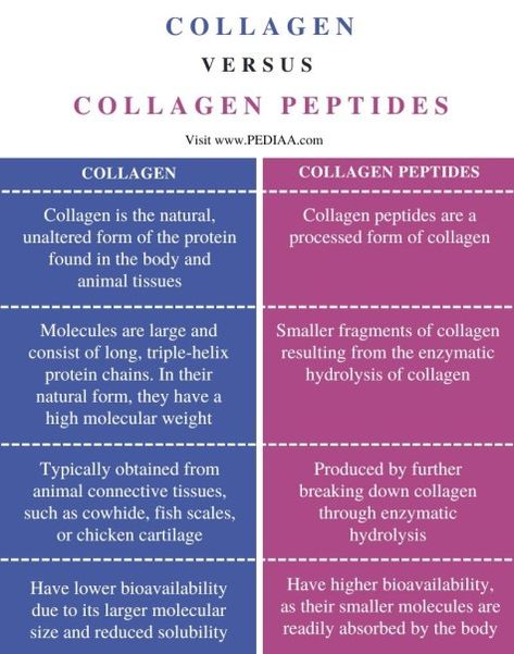 pinit Health Benefits Of Collagen, What Is Collagen, Collagen Fibers, Collagen Benefits, Bone Strength, Lean Muscle Mass, Bone Density, What Is The Difference Between, Collagen Peptides