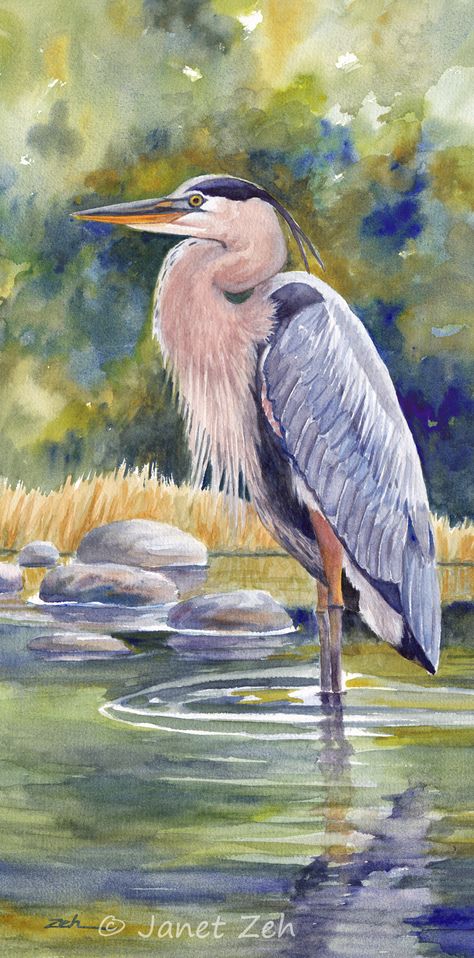 Gray Heron, Bird Painting Acrylic, Heron Art, Sheep Paintings, Great Blue Heron, Boat Painting, Bird Wall Art, Blue Heron, Watercolor Bird