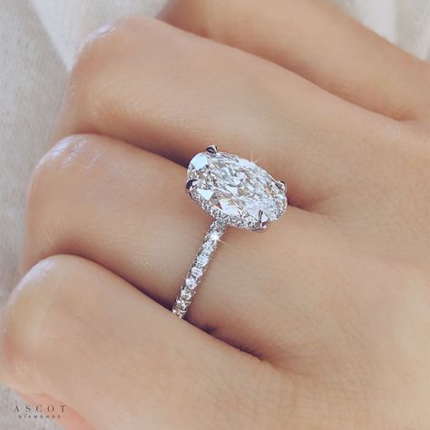 Oval Diamond Engagement Rings, Ascot Diamonds, Famous Engagement Rings, Oval Diamond Solitaire, Cozy Wedding, Custom Diamond Rings, Ring Cuts, Oval Engagement Ring, Future Engagement Rings