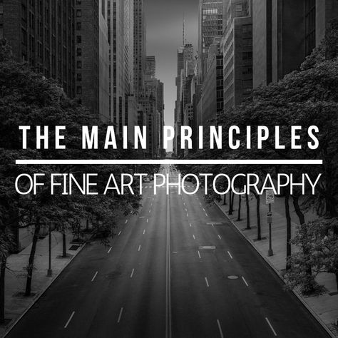 What the most important fine art photography principles and how you can use them to create work that makes you happy as artists, photographers and human beings. August Photo Challenge, Look Good In Photos, Workshop Architecture, Photography Topics, Street Photography Tips, Photography Rules, Art Photographers, Film Photography Tips, Photography Cheat Sheets