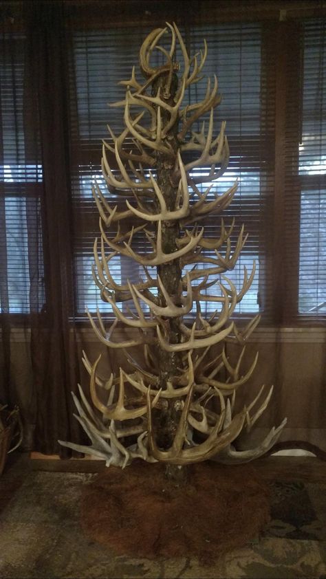 Repurposed Deer Antlers, Antler Shed Display Ideas, Deer Antler Christmas Tree, Antler Display Ideas, Deer Mount Decor, Antler Christmas Tree, Antler Tree, Antler Display, Deer Hunting Decor