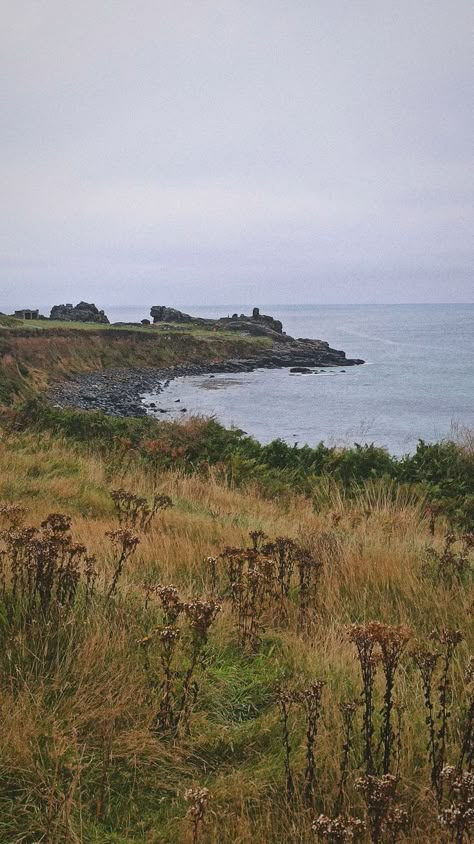 Cottage Rain Aesthetic, Cozy Scottish Cottage, Rainy Scotland Aesthetic, Cottage In Scotland, England Coast Aesthetic, English Coast Aesthetic, Old England Aesthetic, English Seaside Cottage, Rainy Cottage