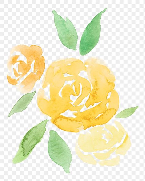 Yellow Roses Illustration, Yellow Rose Illustration, Yellow Roses Watercolor, Yellow Rose Watercolor, Png Rose, Yellow Png, Blossom Painting, Cherry Blossom Painting, Yellow Watercolor