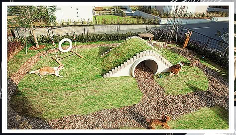 Dog Run - Ouch! - Struggling to discover the solutions that you have been searching for? Why not try Amazon.com TODAY! Dog Obstacle Course, Dog Park Design, Outdoor Dog Area, Backyard Dog Area, Puppy Playground, Dog Play Area, Hotel Pet, Dog Friendly Garden, Pet Garden