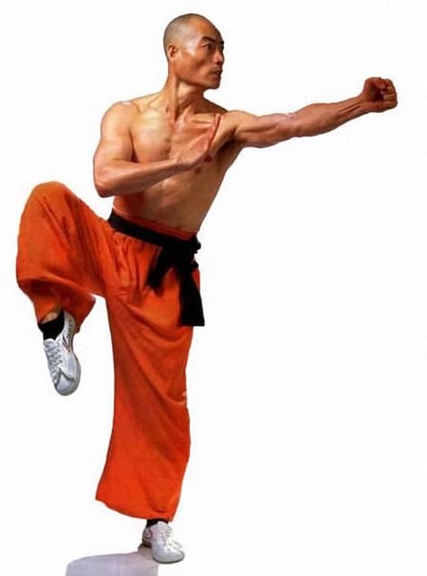 Gesture Poses, Arte Yoga, Shaolin Monks, Kung Fu Martial Arts, Shaolin Kung Fu, Action Pose Reference, Male Pose Reference, Martial Arts Techniques, Pencak Silat