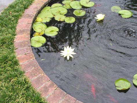 Brick Pond, Pond With Fountain, Concrete Pond, Plant Ledge, Raised Pond, Small Water Gardens, Underwater Led Lights, Garden Pond Design, Pond Ideas