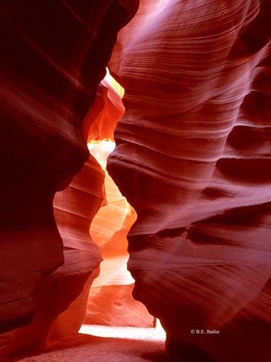 Antelope Canyon - slot canyon in Zion National Park. Next park visit for sure. Zion Park, Slot Canyons, Utah Vacation, Western United States, Zion National Park Utah, Utah Travel, Slot Canyon, Utah National Parks, Travel Spots