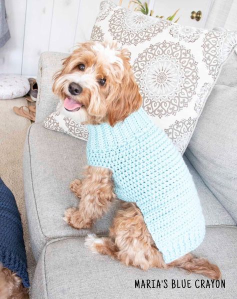 Crochet Dog Sweater Free Pattern - Maria's Blue Crayon Diy Crochet Dog Sweater, Crochet Dog Sweater Free Pattern, Sweater Free Pattern, Crochet Dog Clothes, Crochet Pet, Dog Sweater Crochet Pattern, Dog Patterns, Yarn Creations, Blue Crayon