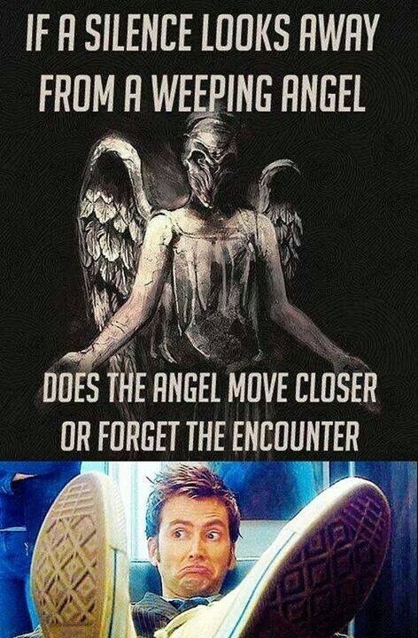 Doctor Who Doctor Who Memes, Ella Enchanted, Weeping Angel, Wibbly Wobbly Timey Wimey Stuff, Good Doctor, Timey Wimey Stuff, Interesting Questions, Superwholock, The Doctor