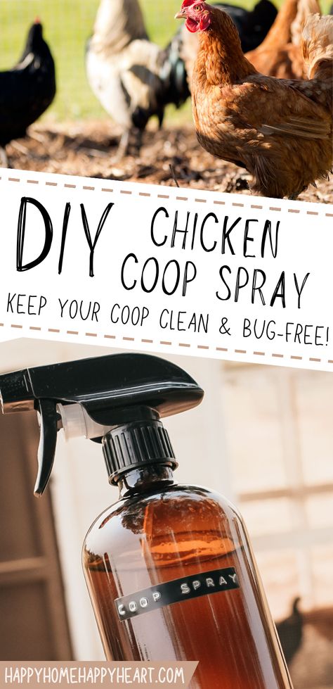 Diy Fly Spray For Chicken Coop, Diy Mini Chicken Coop, Chicken Coop Fly Spray, Controlling Flies In The Chicken Coop, Rooster Coop Diy, Corner Chicken Perch, Diy Chicken Coupe Easy, How To Hide A Chicken Coop, Dirt Bath Chickens