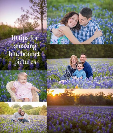 Blue Bonnet Picture Ideas, Blue Bonnet Photoshoot Outfits, Blue Bonnet Family Photos, Bluebonnet Photoshoot Family Pics, Family Bluebonnet Pictures, Bluebonnet Family Photos, Blue Bonnet Photoshoot, Bluebonnet Portraits, Bluebonnet Photoshoot