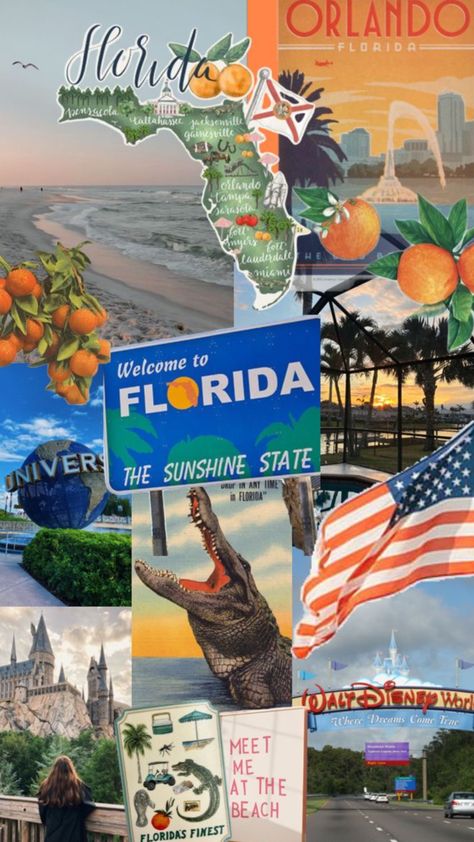 #florida Florida Mood Board, Florida Wallpaper Iphone, Florida Collage, Florida Wallpaper, Usa Aesthetic, Pembroke Pines Florida, 2024 Manifestation, Girl Vacation, Japanese Wallpaper