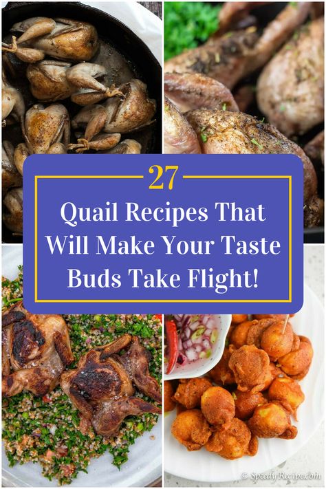 Collage of 4 quail recipes. Baked Quail Recipes, Roast Quail Recipes, Fried Quail Recipes, Stuffed Quail, Grilled Quail, Turkey Bag, Roasted Quail, Quail Recipes, How To Cook Venison