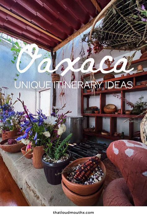 Use this Oaxaca travel guide to learn where to stay in Oaxaca Mexico, the top things to do in Oaxaca, and where to eat in Oaxaca! If you're traveling to Oaxaca, you need to be informed so you can make the best of your visit to this magical city in Mexico!

oaxaca city travel; oaxaca travel tips; oaxaca mexico food; oaxaca mexico; oaxaca city; travel to oaxaca; oaxaca mexico things to do; best things to do in oaxaca Oaxaca Mexico Food, Oaxaca Travel, Oaxaca City Mexico, Itinerary Ideas, Magical City, Oaxaca City, Mexico Food, Mexico Travel, City Travel