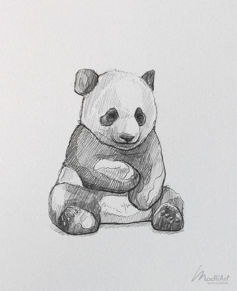 Nature Drawings Animals, Sketching Ideas Animals, Panda Drawing Sketches, Cute Panda Drawing Sketches, Zoo Animal Sketches, Giant Panda Drawing, Drawing Ideas Animals Sketches Pencil, Endangered Animals Drawing, What Should I Draw In My Sketchbook