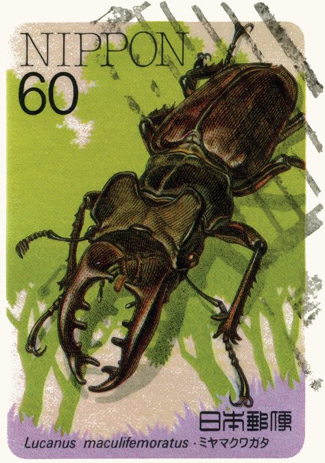 "This Japanese Wall art was created from postage stamp art from Insect Art. As a graphic designer, I created this as a travel poster or Vintage Japanese Wall art and Japanese Gifts that would work well in any style decor. The perfect wall decor and art print for Asian Decor or anyone who like Asian art. Postage Stamp Art Print Details This Postage Stamp Art Print comes in 3 size options: 8\"x 10\" (20cmx25cm) 11\"x 14\" (28cmx36cm) and 12\"x 16\" (30cmx40cm). The postage stamp art print is creat Japanese Art Print, Postage Stamp Design, Wild Art, Insect Collection, Insect Print, Stag Beetle, Ship Artwork, Japanese Gifts, Japanese Wall Art