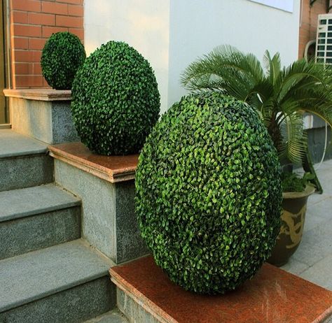 If you like the look of topiaries or artificial boxwood balls, here’s a DIY project for you. You can't go wrong with this! Topiary Diy, Artificial Green Wall, Boxwood Balls, Garden Hedges, Artificial Hedges, Boxwood Hedge, Artificial Topiary, Boxwood Topiary, Planta Artificial