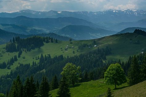 Carpathian Mountains in Ukraine... Ukraine Landscape, Carpathian Mountains Ukraine, Mountains Aesthetic, 3d Room, Carpathian Mountains, Mountain Wallpaper, World Of Darkness, Vampire Diaries, Natural Beauty