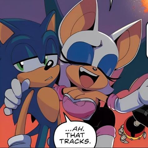 Sonic the hedgehog and Rouge the bat Sonic Idw Fanart, Sonic Rouge The Bat, Rogue The Bat Pfp, Sonic Characters Pfp, Rouge The Bat And Shadow, Rouge Icons Sonic, Sonic Idw Comics, Shadow And Rouge Fanart, Rouge The Bat Aesthetic