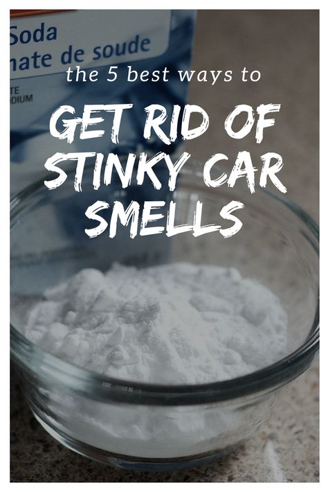 How To Clean Vomit From Car, Car Odor Eliminator Diy, How To Keep Your Car Smelling Good, Car Smell Good Hacks, Car Smell Hacks, Smell Good Hacks, Odor Eliminator Diy, Car Smell Good, Car Odor Eliminator