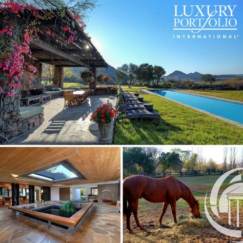 Stud farm for sale in Colesberg, South Africa. 46 Stables, 3000m racetrack. World class facilities. See www.chaseveritt.co.za for more details Stud Farm, Race Track, Stables, South Africa, Equestrian, Horses