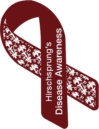 Hirschsprungs Disease awareness ribbon Hirschsprungs Disease, Jeans For Genes, Large Intestine, Nerve Cell, Rock Painting Tutorial, Medical Terms, Columbus Ohio, Medical Information, Doctor Medical