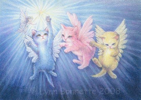 Cat And Dog Photos, Angel Cat, Arte Inspo, Cat And Dog, Pink Cat, Cat Painting, الرسومات اللطيفة, Dog Photos, 귀여운 동물