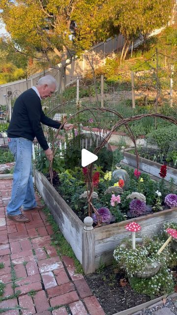 Jody Gabara | 🏡Home & Garden🌸 on Instagram: "I wanted to share with you how my husband, Stan, wrapped the grapevines around the copper tubing for our raised beds. This is a video from last year, same technique!🍃
.
.
.
We trimmed back our grapevines 🌿 recently and cut long branches off so we could bend them around the copper arches. 
.
.
After you trim them back, they will dry right away, so it’s good to use them at that time.
.
.
.
I love the Rustic look of it!
.
🍃🍇🍃
#sandiegogarden #gardeningreels #raisedbedgardening #gardenarch #gardendesign #blooming #blooms #bloom #grapevines #cottagegarden #gardenofinstagram #grapevinetrellis #gardenflowers #flowers #mygardentoday #gardenideas #gardeninspired #gardeninglife #diy #gardening #potagergarden #potager #sunsetmag #gardenlife #flowerg Grapevine Ideas, Grape Vine Trellis, Front Yard Patio, Farmhouse Fixer Upper, Garden Fun, Potager Garden, New Followers, Diy Gardening, Cut Flower Garden