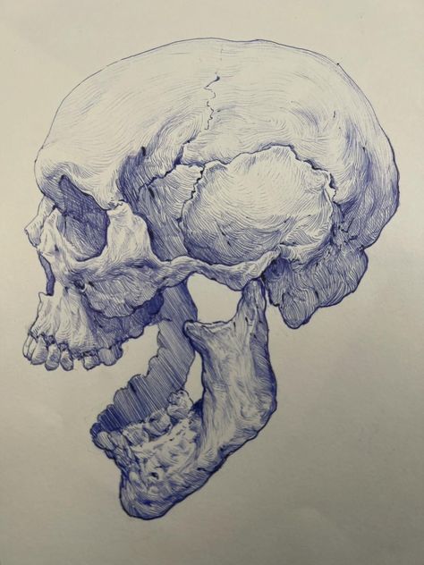 Skull Open Mouth Reference, Skull Anatomy Sketch, Human Skull Art, Skeleton Ink Drawing, Skeleton Head Reference, Skull Sketches Pencil, Skull Profile Drawing, Skull Pencil Drawings, Shackles Drawing