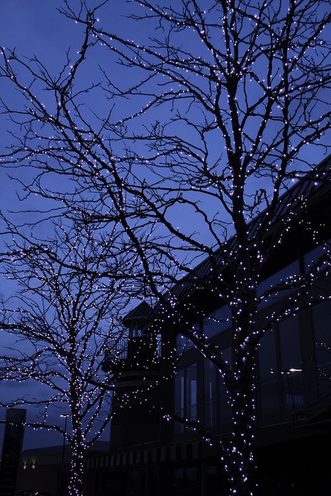 Dark Blue Christmas Aesthetic, Christmas Blue Aesthetic, Christmas Dark Aesthetic, Dark Winter Aesthetic, Dark Blue Christmas, Iphone Wallpaper Photos, Pretty Photos, Winter Aesthetic, Night Aesthetic