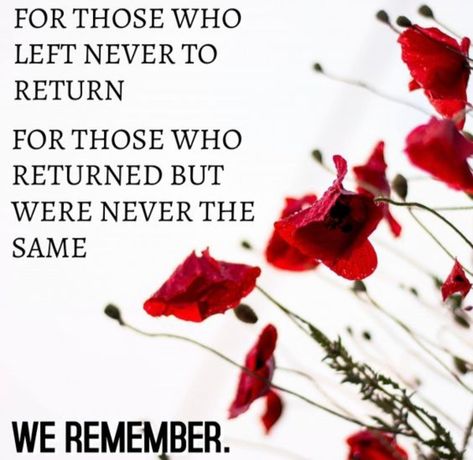 Veterans Day Remembrance, Poppies Memorial Day, Poppy Memorial Day, Memorial Day Poppy, Remembrance Day Images, Remembrance Day Photos, Remembrance Poppies, Buddy Poppy, Memorial Day Remembrance