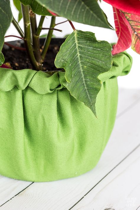 Fabric cover hack for plastic flower pots Diy Flower Pot, Flower Pot Ideas, Fabric Plant, Planter Cover, Small Patio Decor, Plant Pot Diy, Flower Pot Design, Fleurs Diy, Plant Pot Covers