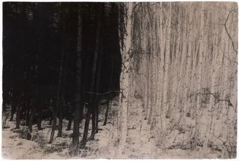 Japanese Photography, Black And White Images, Photography Series, White Images, Winter Wood, Piet Mondrian, Foto Art, Black & White, 그림 그리기