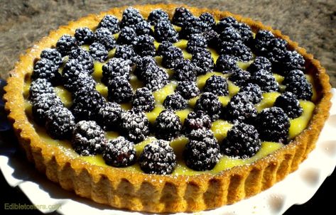 Blackberry & Lemon Curd Tart Pate Sucree Recipe, Blackberry Tart, Tartine Bakery, Curd Tart, Blackberry Dessert, Lemon Curd Tart, Tart Filling, Pastry Crust, Elegant Desserts