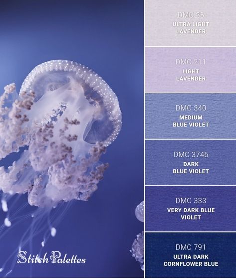 Jellyfish Color Palette, Stitch Palettes, Painting Corner, Christmas Color Palette, Midnight Blue Color, Color Palette Challenge, Paint Color Schemes, Color Schemes Colour Palettes, Brand Color Palette