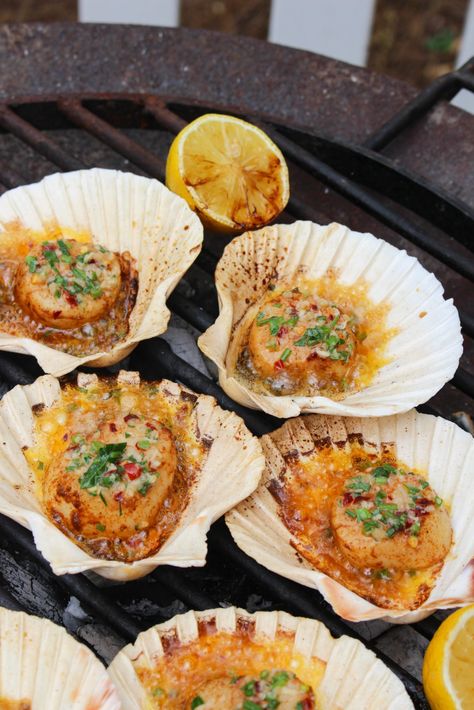 Grilled Scallops in the Shell - Over The Fire Cooking Grilled Scallops Recipe, Seafood Shack, Over The Fire Cooking, Fresh Recipe, Scallops Recipe, Seafood Dish Recipes, Grilled Scallops, Grilled Seafood Recipes, Stuffed Shells Recipe