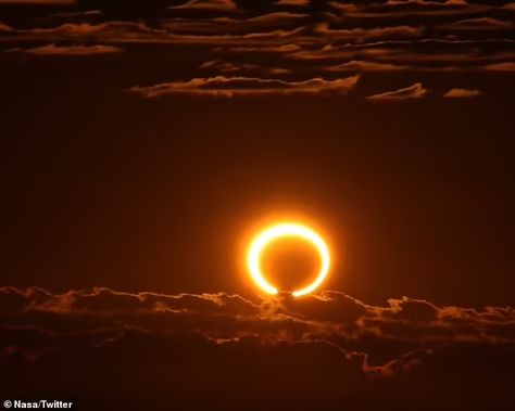 Stunning 'ring of fire' solar eclipse of 2023 will be visible in the US for the first time in 11 years ... but only eight states will see it in October | Daily Mail Online Eclipse 2023, October Daily, Southwest Colorado, Sun Projects, Sun And Earth, Paper Place, Southern Oregon, Total Eclipse, Solar Eclipse