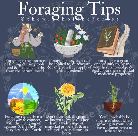 Foraging Journal Ideas, Foraging Witch, Spiritual Herbs, Hedge Witchcraft, Herbal Witch, Wild Food Foraging, Witch Stuff, Witch Garden, Wiccan Spell Book