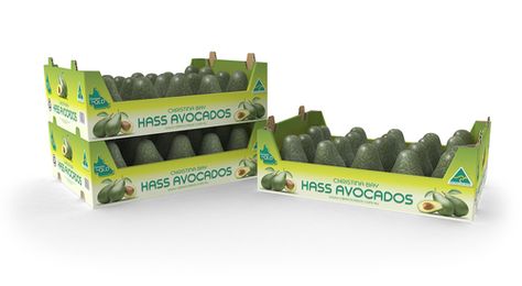 Avocado Packaging Avocado Packaging Design, Avocado Packaging, Fresh Produce Packaging, Box Packaging Templates, Safe Car, Bulk Shopping, Fruit List, Food Package, Fruit Packaging