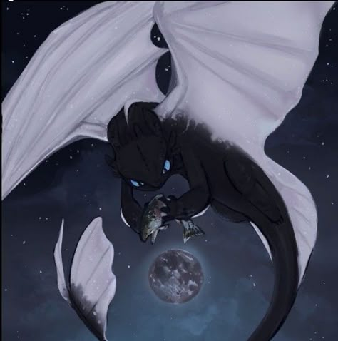 Toothless Sketch, Mythical Creatures Drawings, Night Fury Dragon, Httyd Art, Httyd Dragons, Dragon Sketch, Music On Spotify, Creature Artwork, Night Fury