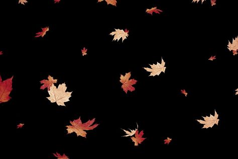 Autumn Overlays For Edits, Cricut Dtf, Fall Overlay, Halloween Overlay, Texture Png, Leaves Png, Overlays Instagram, Background Images For Editing, Overlays Picsart