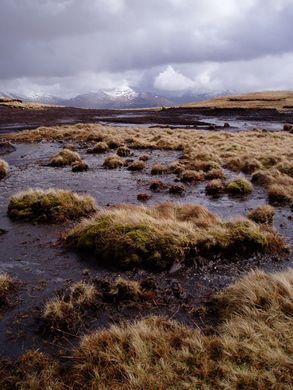 English Moors, Ancient England, Background Practice, Bog Body, The Ferryman, Shadow Wizard Money Gang, Shadow Wizard, Money Gang, Peat Bog